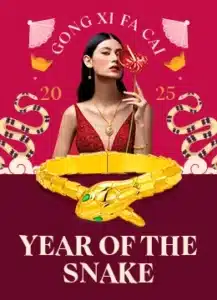 Year Of The Snake 金蛇纳福